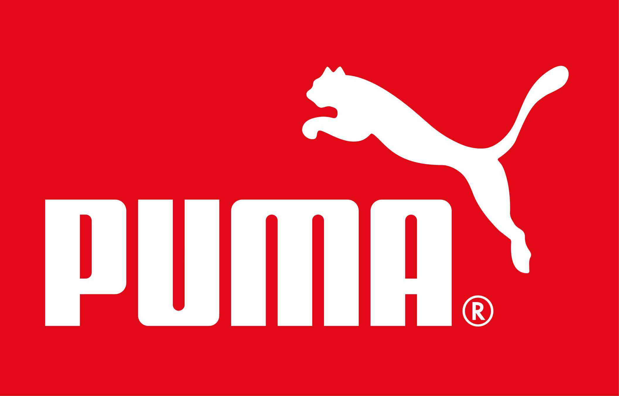 Holanda: Becas Para Pasantía en Varios Temas PUMA