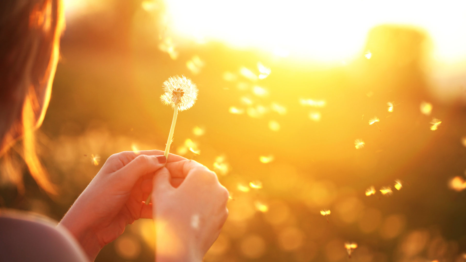 Curso Online Gratis «Derechos Humanos y Desarrollo» Curtin University Australia